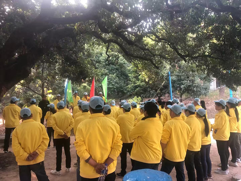 Outdoor team building